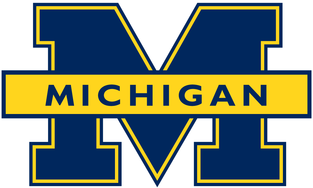 Michigan Wolverines 1996-2011 Primary Logo iron on transfers for T-shirts